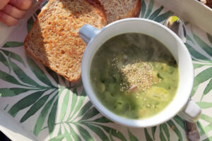 A green soup made with ground elder. On the left is some toasted bread. The sun is shining on the dish.